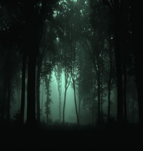 Bosque nocturno - JovanCormac